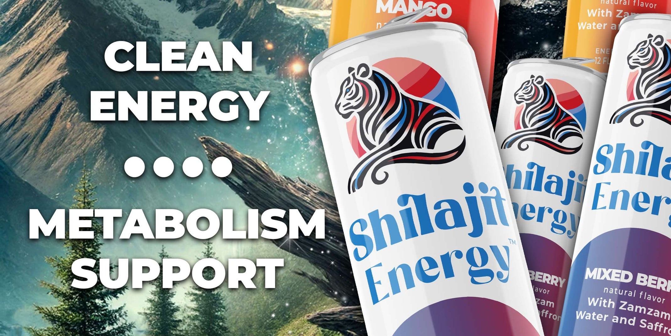 Shilajit_ProductPage_2500x1255_02_1.jpg